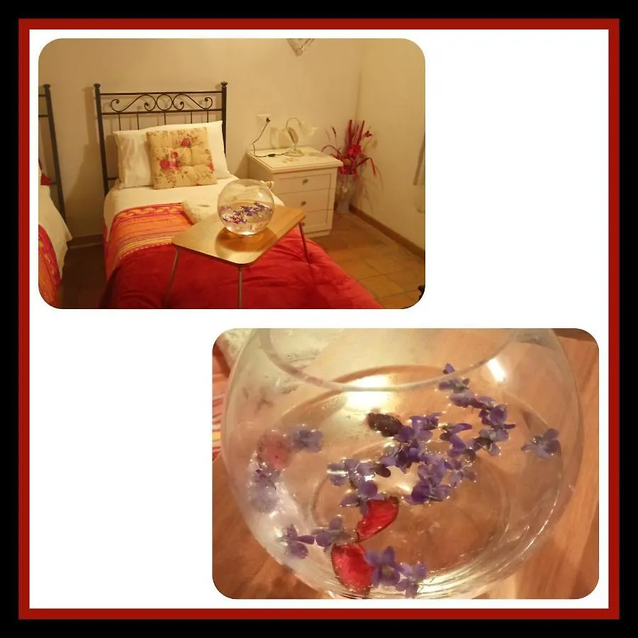 Bed and Breakfast Felix House à Codevilla Italie