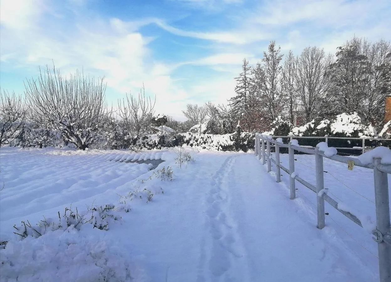 Felix House Bed & Breakfast Codevilla Italy