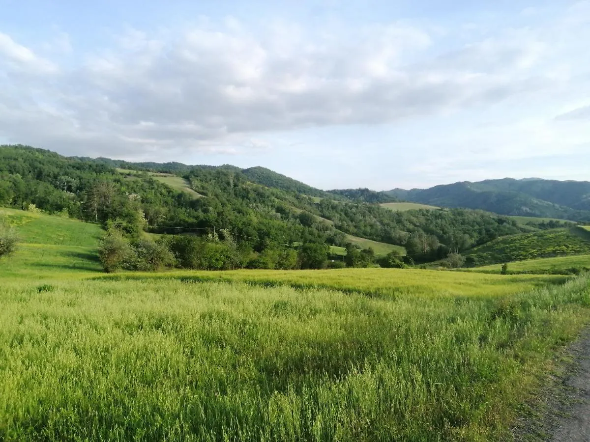 Felix House Bed & Breakfast Codevilla Italy